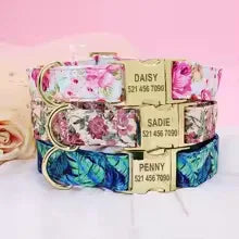 Personalized Dog Collar & Leash Set - Shoply pets