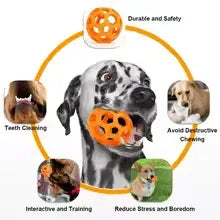 Natural Rubber Interactive Ball with Bell - Shoply pets