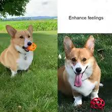 Natural Rubber Interactive Ball with Bell - Shoply pets