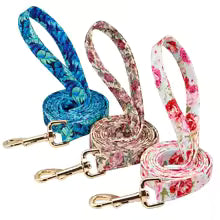 Personalized Dog Collar & Leash Set