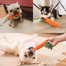 Carrot-Shaped Cotton Rope Chew Toy for Dogs & Cats